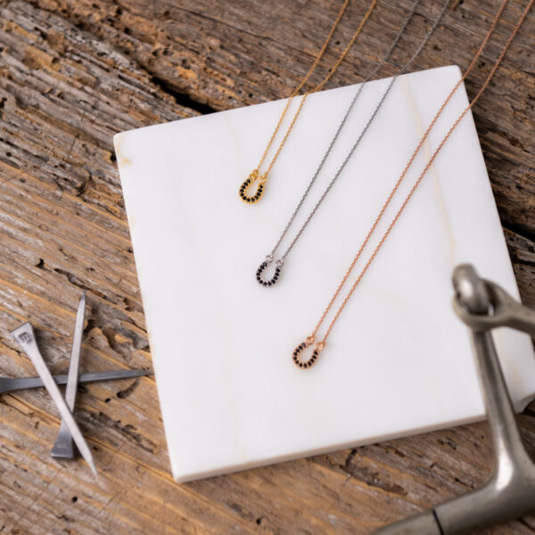 ΑΣΗΜΕΝΙΟ ΚΟΛΙΕ ΜΙΚΡΟ ΠΕΤΑΛΟ ΜΕ ΜΑΥΡΑ ΖΙΡΓΚΟΝ